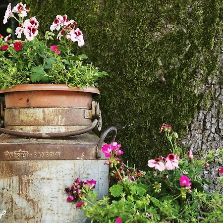 Hotel Al Comune Rustico 2*